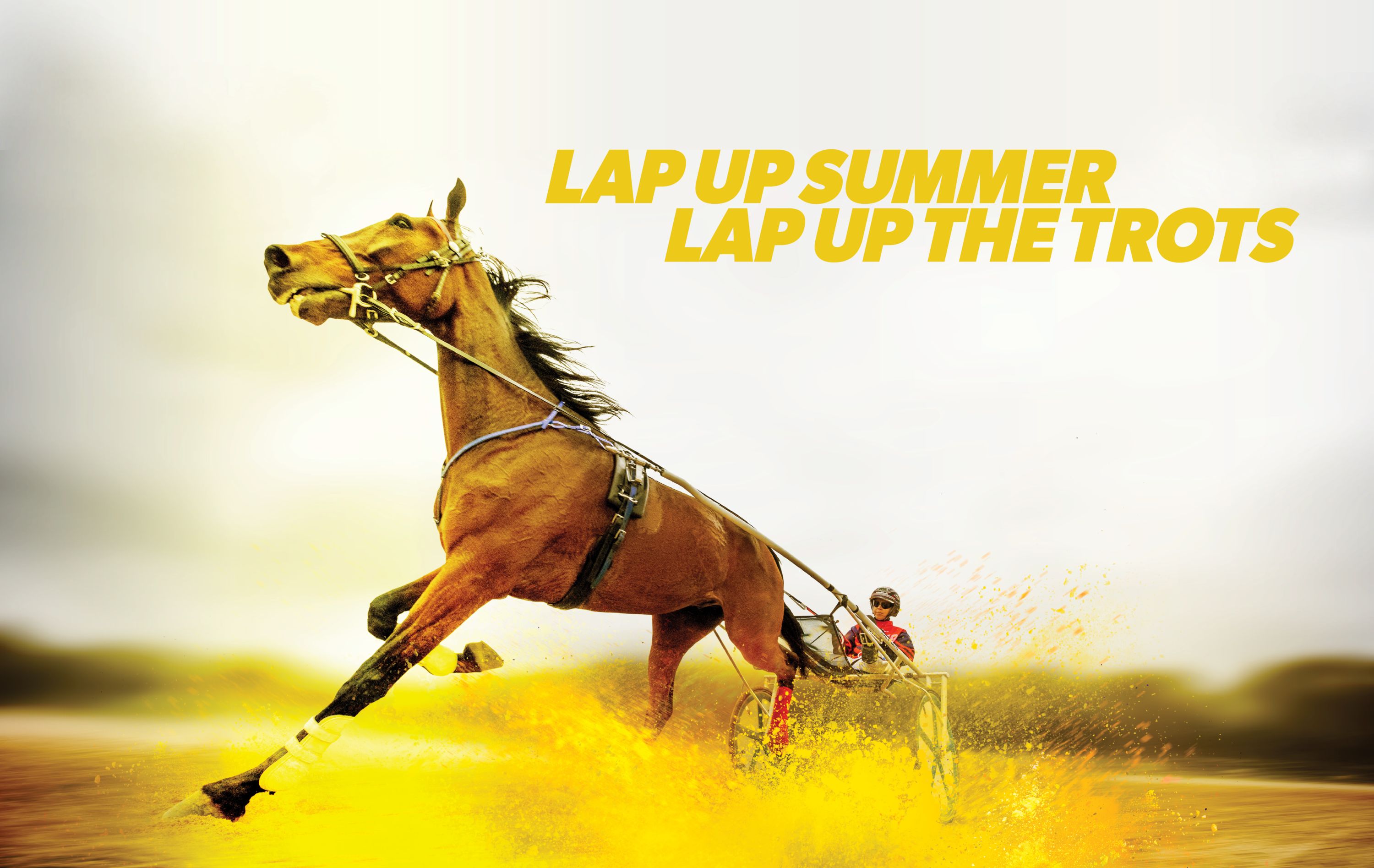 Hunter Cup Nominations revealed for SOG19 classic Harness Racing